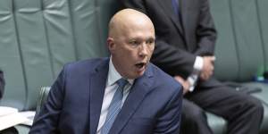 Opposition Leader Peter Dutton in parliament this week. 