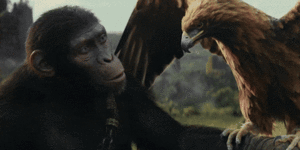 How this director plans to keep Planet of the Apes one of the most enduring franchises