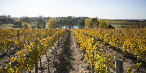 Bannockburn,a family-owned vineyard in Geelong,Victoria.