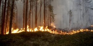 Record-breaking heat hits Norway,Finland and Sweden