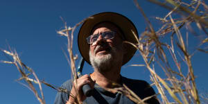 Tim Flannery follows in footsteps of Greta Thunberg,David Attenborough