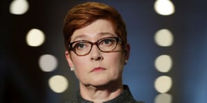 Cyber attacks could help trigger a war,says Marise Payne