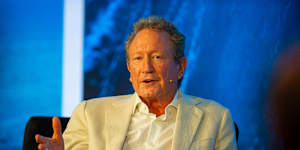 Andrew Forrest’s biggest bet has been on developing electrolysers that can break down water into green hydrogen or reduce iron ore to “green iron” suitable for steel making.