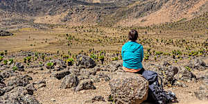 Mount Kenya suffers nothing from being of a lower elevation than Kilimanjaro. 