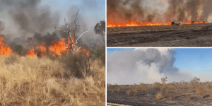 Rural Queensland town evacuated due to bushfire threat