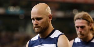 Cats will do their'best'to retain Kelly:Carter