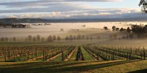 Mount Mary Vineyard in the Yarra Valley.