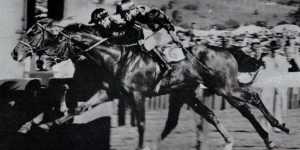 “The 1961 AJC Derby,featuring the greatest ride I’ve seen at Randwick or anywhere else when Mel Schumacher on Blue Era grabbed rival Tommy Hill’s leg and lost the race on protest to Summer Fair. ”