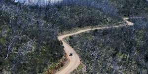 A road near Hotham Heights winds through areas of burned bush and dead snow gums. 