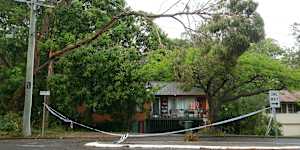 On Tuesday,the storm clean-up continued in the Brisbane suburb of Kenmore.