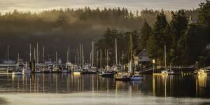 Misty mornings at the Friday Harbour marina.