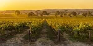 Australia’s 52 top wineries:the 2021 list