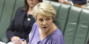 Environment Minister Tanya Plibersek has rejected coal mine applications previously but approved one in Queensland on Thursday night.