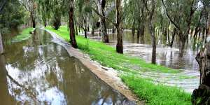 The Murray River has surpassed the flooding in Echuca of 1993.