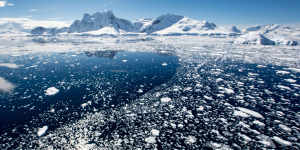 Antarctica is rapidly losing sea ice.