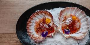 Scallops with coconut,chilli and lime.