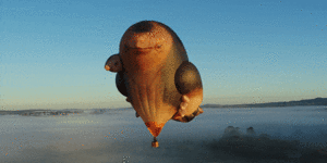 Patricia Piccinini’s new airborne sculpture “Skywhalepapa” will fly alongside its companion,“Skywhale”.