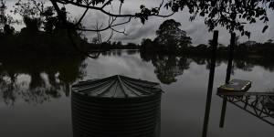 When Lismore experienced its worst flooding event in recorded history,the debris was carried away by floodwaters and filled up the Richmond River’s cane fields. Farmers were unable to harvest cane for several months.