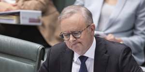 Prime Minister Anthony Albanese in parliament this week.