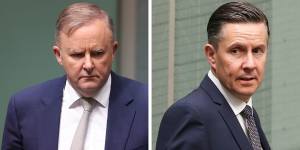 Federal Labor leader Anthony Albanese is set to demote MP Mark Butler.