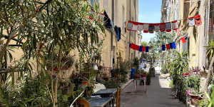 Greenery now fills the streets in the district of Le Panier in Marseille,France,as part of their Visa vert (Green Visa) program.
