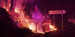 Firefighters work on a roadside fire overnight at Mount Tomah. 