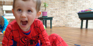 William Tyrrell,who vanished in 2014,dressed in his Spider-Man suit.