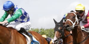 Race-by-race preview and tips for Hawkesbury on Thursday