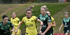 ‘Best league in the world’:Captain’s dog invades pitch,holds up A-League Women match