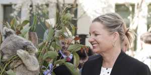 Environment Minister Sussan Ley in September 2019 warned the status of koalas in various locations may be changed to endangered due to bushfires.