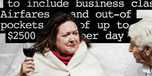 Gina Rinehart’s Hancock Prospecting demanded Olympic champion Dawn Fraser be sounded out to become Swimming Australia president.