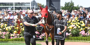 The Melbourne Cup moment that had Richmond stars sweating