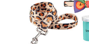 “Leopard” lead;Bone china treat jar;Pidan bow-tie cat collar.