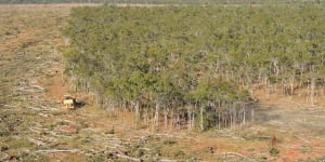 Land clearing in Queensland.