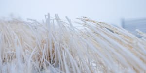 Winter has officially arrived as blizzards hit Victoria