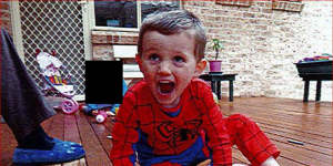 William Tyrrell disappeared in 2014.