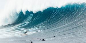 A surfer dives for cover as a large wave breaks off Wedding Cake Island,off Coogee Beach.