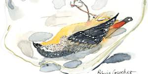 A little bird told me a lot about my father. Let’s hope Mum never knows