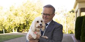 The PM brought out first dog Toto Albanese to do some of the diplomatic leg work for him.