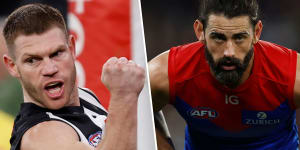 Taylor Adams and Brodie Grundy will be excellent additions at Sydney.