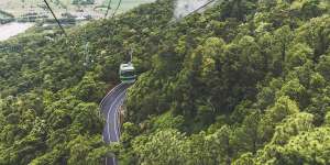 Kick back with sprawling vistas while riding the Skyrail Rainforest Cableway.