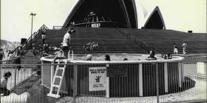 Learn to swim classes at the Opera House Forecourt,1977. 