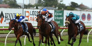 Magnaspin hits the front in The Coast at Newcastle on Saturday.
