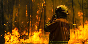 NSW firefighters battle the Currowan blaze. 