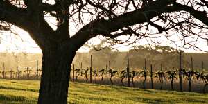 Jim Barry Wines in the Clare Valley,SA.