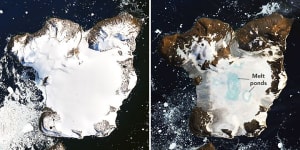 Antarctic heatwave melted 20 per cent of an island's snow cover in days