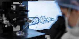 The ‘secret menu’ IVF option for unused embryos