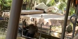 Disney World Jungle Cruise boat ride sinks,hilarious Twitter reactions ensue