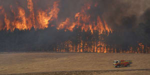 An image of the bushfire in the pine plantation 100 metres from the Triggs property.
