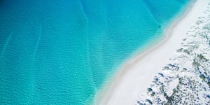 Ningaloo Reef is famous for its opportunities to swim with whale sharks.